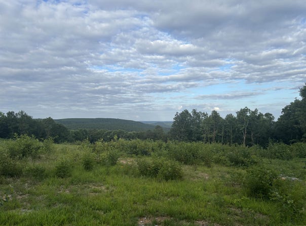 2095 Dry Mountain Road, Drasco, AR 72530