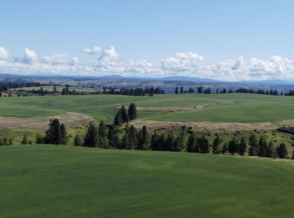 Basket Rd Parcel 2, Nezperce, ID 83543