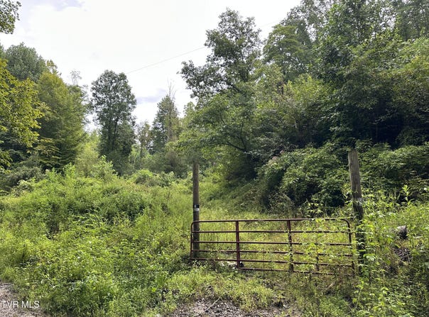 Canary Trail, Pennington Gap, VA 24277