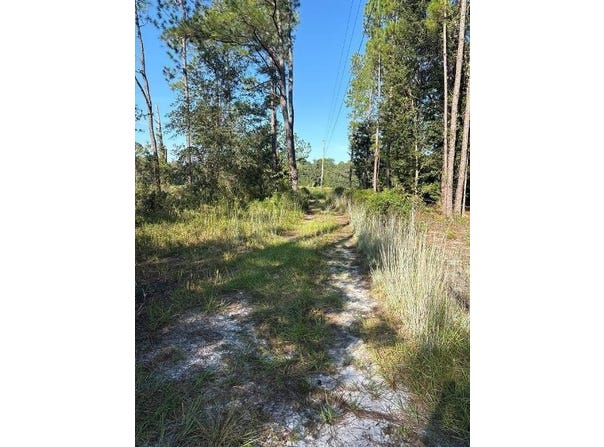 123 RD Lane, BRONSON, FL 32621