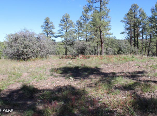 004T Elk Trail, Show Low, AZ 85901