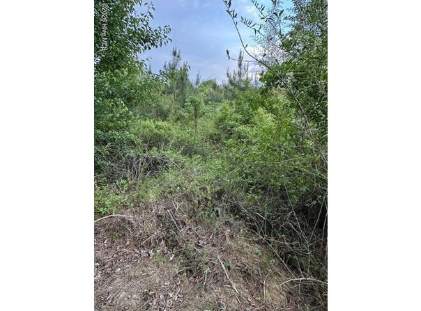 Duke Road, Castalia, NC 27816