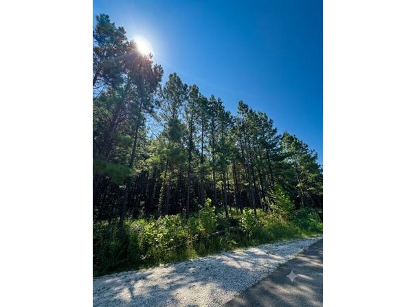 470 Creek Side Trail, Broken Bow, OK 74728