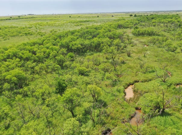 Davis Ln-TRACT 9, Bellevue, TX 76228