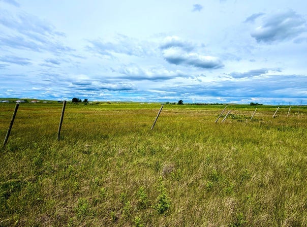 Bad Eyes Road, Browning, MT 59427