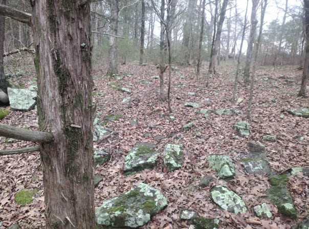 tract 3 HWY 14 E, Mountain View, AR 72560