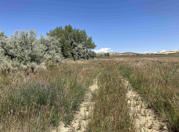 Road 5N, Powell, WY 82435