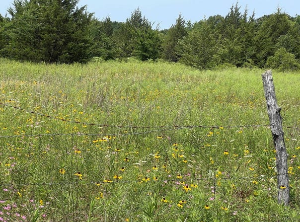 175 Hideaway Trail, Colbert, OK 74733