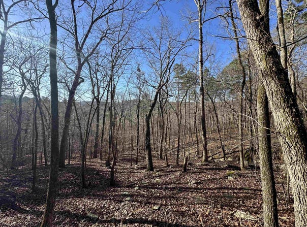 Bear Mountain Road, Prim, AR 72130