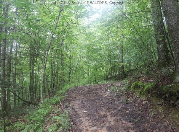 OFF RT 16 Road, Ivydale, WV 25113