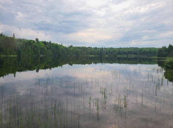 Russell Lake Road lot: 4 & 5, Linneus, ME 04730