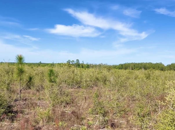 S Timber Ln lot: 55, Jay, FL 32565