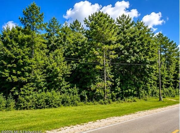 W Oak Street lot: 000, Amite, LA 70422