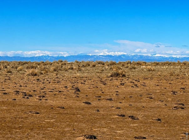County Road 80, Briggsdale, CO 80611