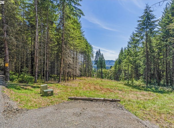 Old Tree Farm Dr, Longview, WA 98632