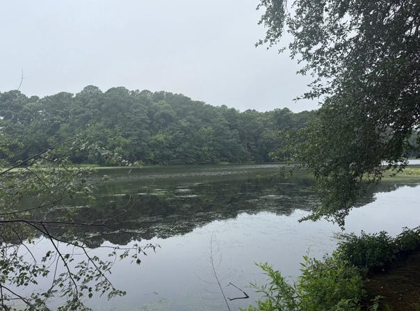SCHUMAKER WOODS Circle, SALISBURY, MD 21801