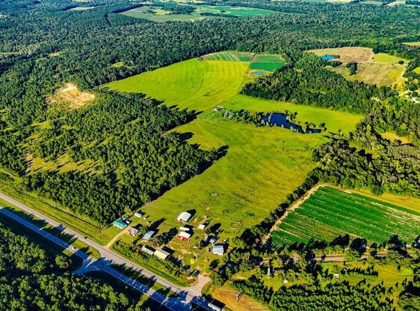 12407 S US HIGHWAY 231, Cottonwood, AL 36320
