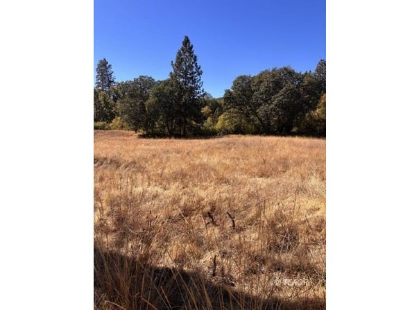 775 Barker Valley Rd, Hayfork, CA 96041