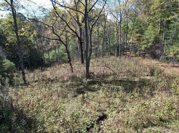 Byllesby Road, Ivanhoe, VA 24350