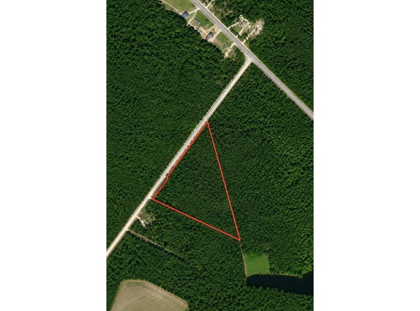 Wolf Pit Bay Rd., Nichols, SC 29581