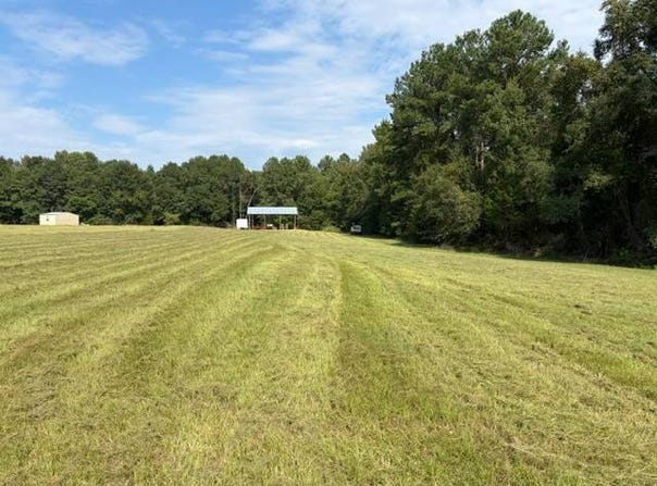 Good Hope Rd, Dozier, AL 36028