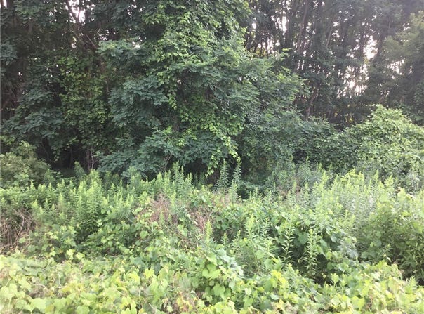 Creek Road, Batavia, NY 14020