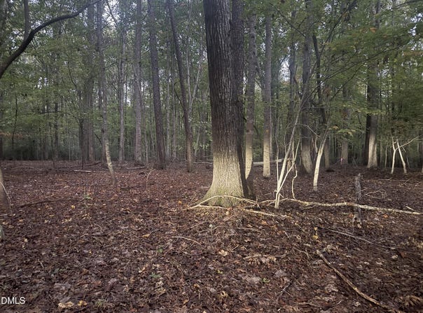 Dark Oaks, Pittsboro, NC 27312