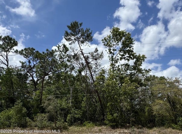 . Waterfall Drive, Spring Hill, FL 34608