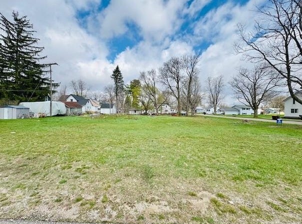 Ionia Street lot: 1, Lake Odessa, MI 48849