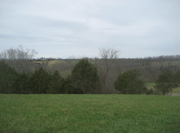 N Rays Fork Road, Sadieville, KY 40370