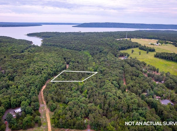 Brimer Lane, Higden, AR 72067