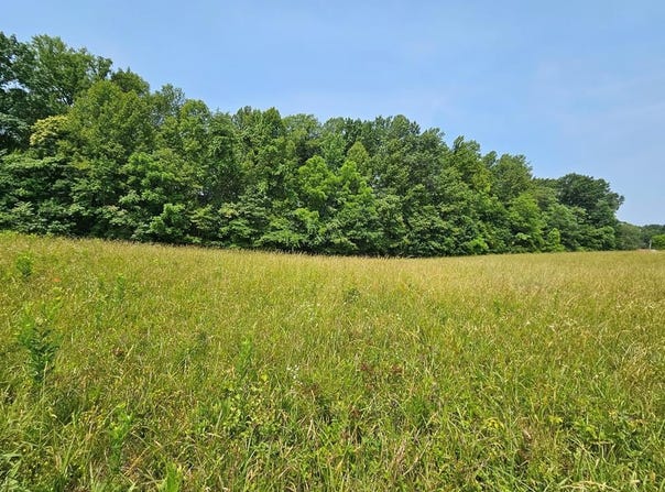 Main St, Dillwyn, VA 23936