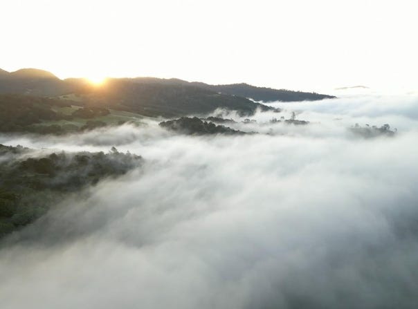 750 Conn Valley Road, St. Helena, CA 94574