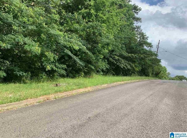 2121 PARK BROOK LANE lot: 11, BIRMINGHAM, AL 35215