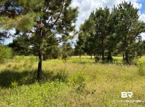 Boros Road, Elberta, AL