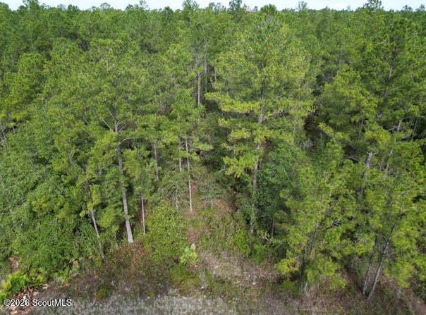 00 (lot 70) Heritage Circle, Hortense, GA 31543