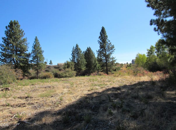 Forest View Drive, Chiloquin, OR 97624