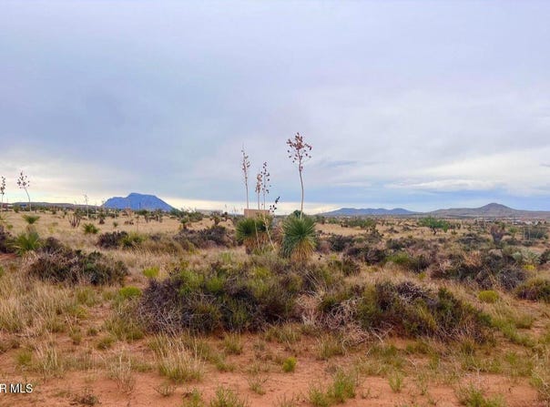 Sierra Blanca, TX 79851