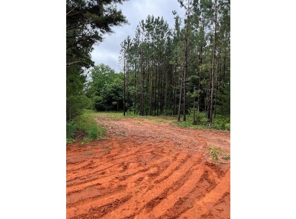 01 parcel 2 County Road 6629, BANKS, AL 36005