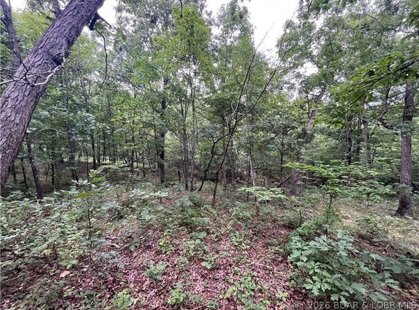 Patridge Drive, Climax Springs, MO 65324