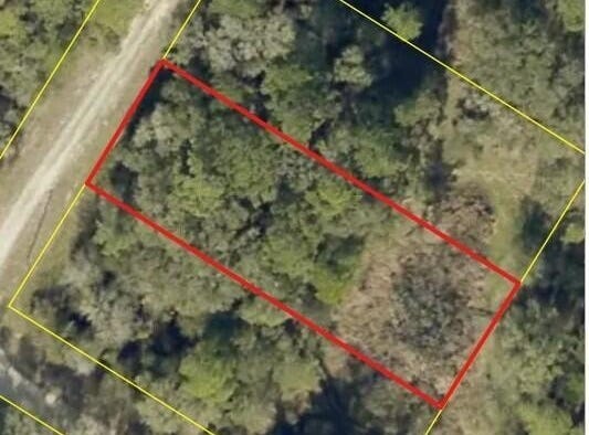 Bedstone Drive, Webster, FL 33597