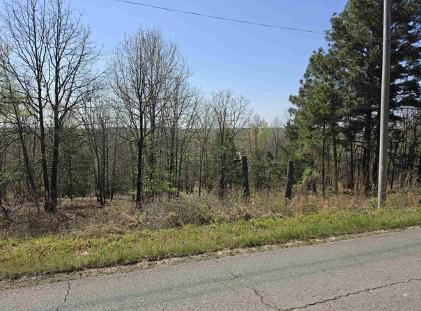 Fortson, Vilonia, AR 72173