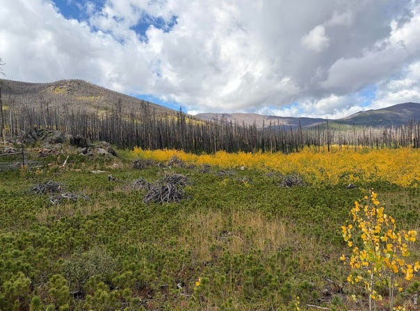 2025 Granite Rd, Bellvue, CO 80512