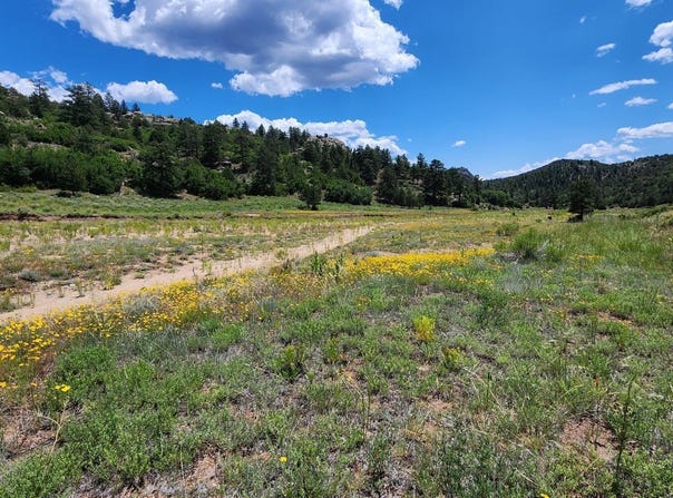 Big Bow Drive, Cotopaxi, CO 81223