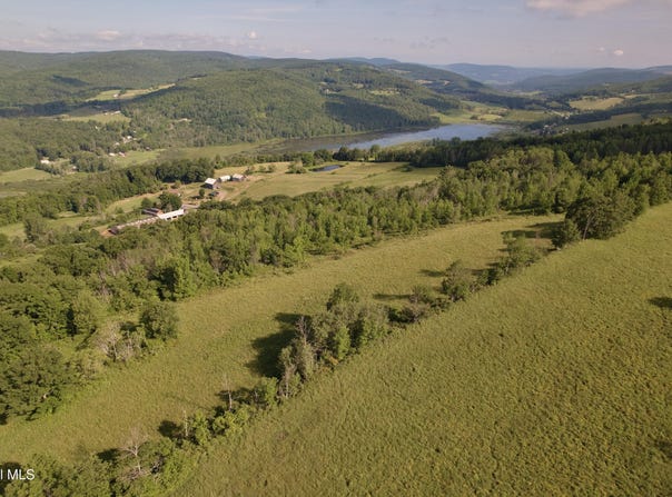 L-11 Earls Road, Middleburgh, NY 12122