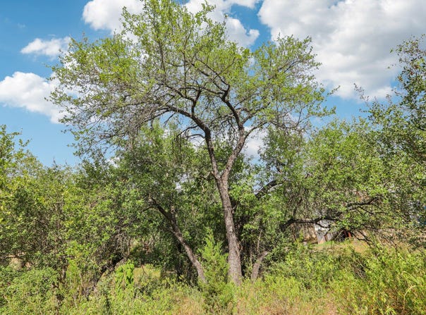 12610 River Bnd, Austin, TX 78732