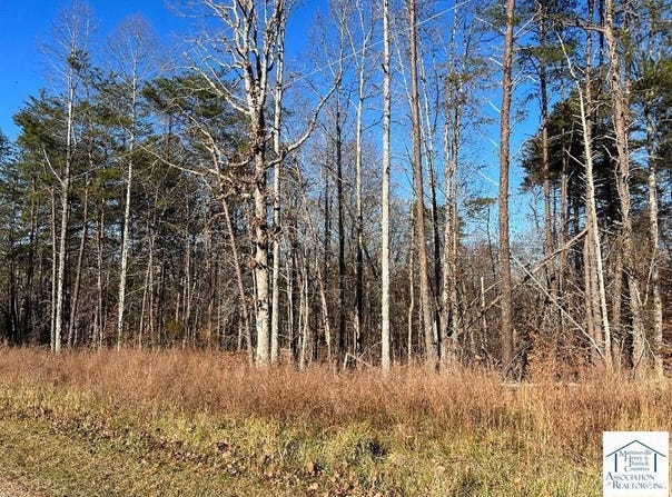 Barrett Rd lot: 10, Hardy, VA 24101