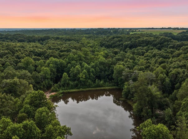 County Road 438, Elba, AL 36323