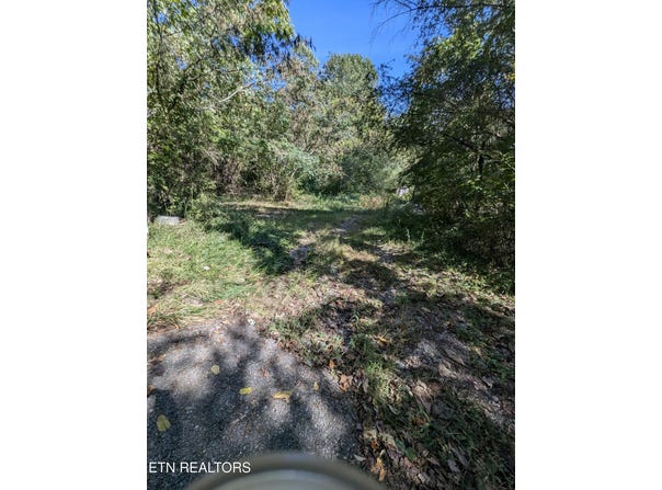 528 N 13th St, LaFollette, TN 37766