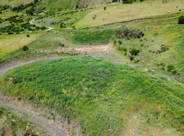 34245 Grandview Lane, Lenore, ID 83541